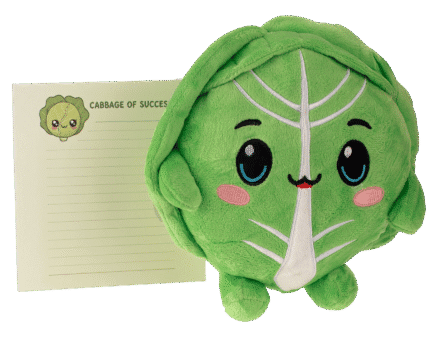 Motiveggies brand photography